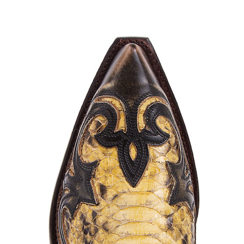 Sendra snake online