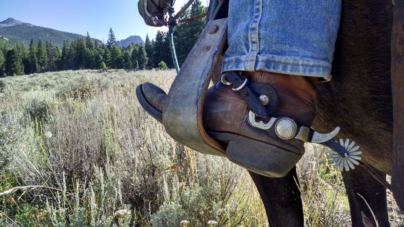 cowboy boots in stirrups